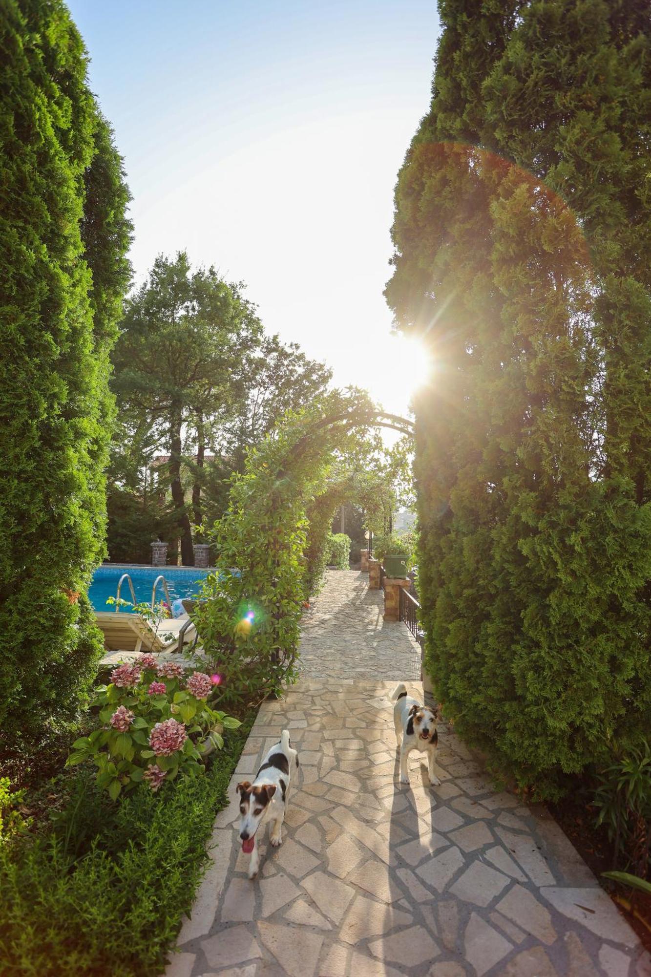 Villa Besha Herceg Novi Eksteriør billede